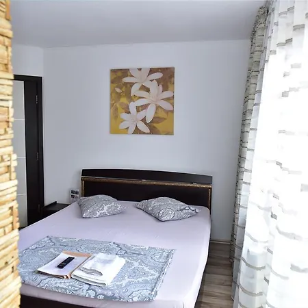 Pensiunea Dely_cios Guest house